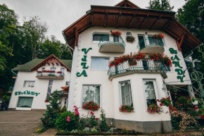 Гостиница Szandy  Совата